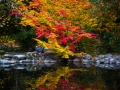 Fall colors at the Upper Duck Pond in Lithia Park in Ashland.