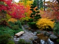 One of my favorite photos from this year... the Japanese Garden area in Lithia Park.  This was one of the best Fall colors ever!