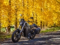 Golden Autumn Ride...