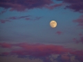 Full Moon at Sunset
