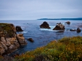 A side trip to Point Lobos just before the Leguna Seca racing event... I had to get my "ocean fix" in while at Monterey.