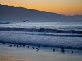 Dawn at Bolinas... the surfers were already out well before sunrise.