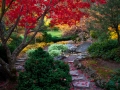 A second scene at the Japanese Gardens in Lithia Park.