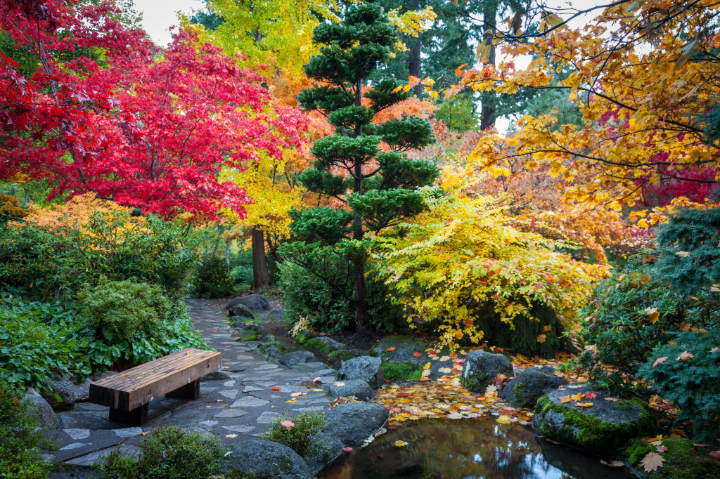 Japanese Garden (Lithia Park) in early November